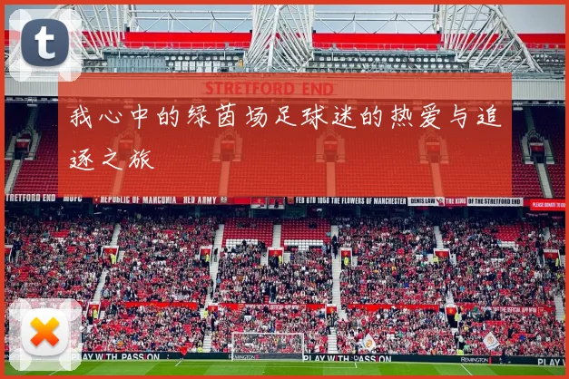 我心中的绿茵场足球迷的热爱与追逐之旅