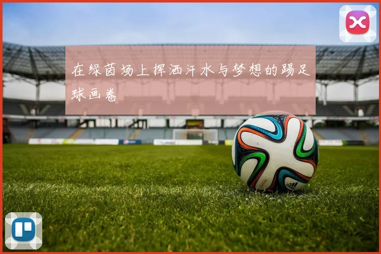 在绿茵场上挥洒汗水与梦想的踢足球画卷
