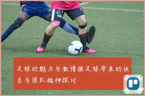 足球的魅力与激情揍足球带来的快乐与团队精神探讨