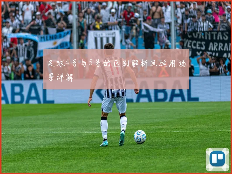 足球4号与5号的区别解析及适用场景详解