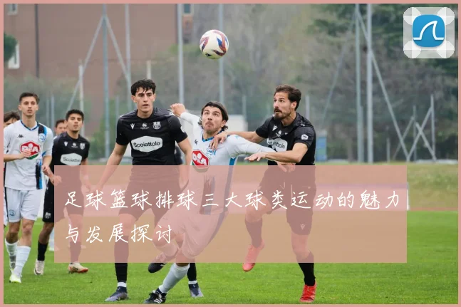 足球篮球排球三大球类运动的魅力与发展探讨